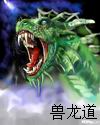 兽龙道封面