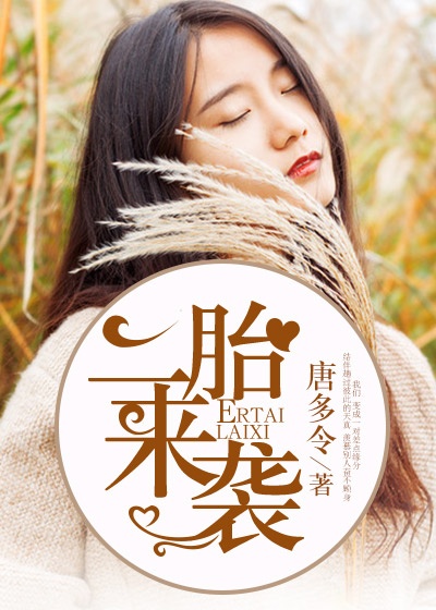 二胎来袭封面