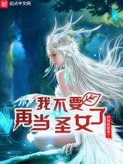 我不要再当圣女了封面