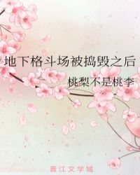 地下格斗场被捣毁之后封面