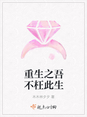 重生之吾不枉此生封面