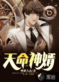 天命神婿封面