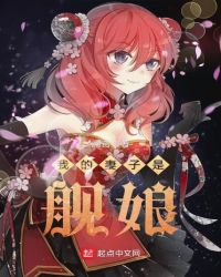 我的妻子是舰娘封面