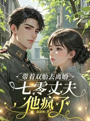 带着双胎去离婚,七零丈夫他疯了封面