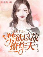 逆袭千金：禁欲总裁撩炸天封面