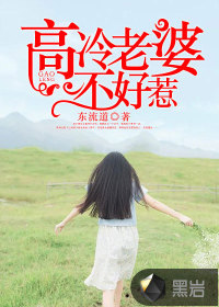 高冷老婆不好惹封面