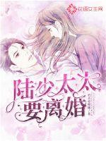 陆少,太太要离婚封面