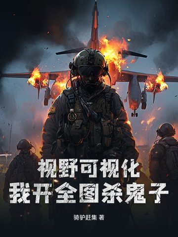 视野可视化，我开全图杀鬼子封面