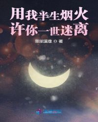用我半生烟火许你一世迷离封面