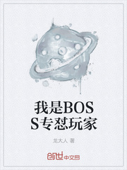 我是BOSS专怼玩家封面