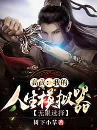 高武：我的人生模拟器无限选择封面