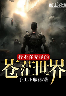 行走在无尽的苍茫世界封面