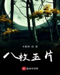 八枚玉片封面