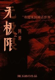 网游之无极限封面
