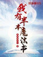 我有半本魔法书封面