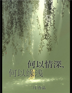 何以情深，何以缘浅封面
