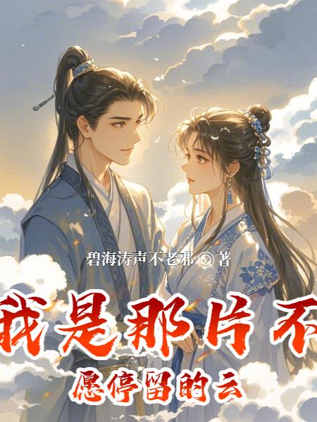 我是那片不愿停留的云封面