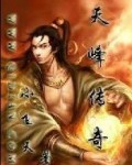 天峰传奇封面