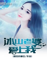 冰山老婆爱上我封面