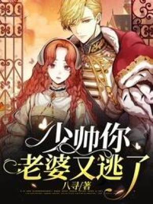 少帅你老婆又逃了封面