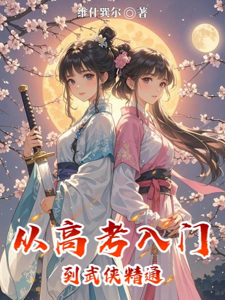 从高考入门到武侠精通封面