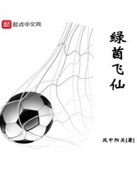 绿茵飞仙封面