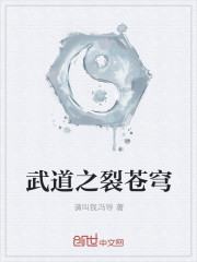 武道之裂苍穹封面