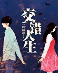 交错人生封面