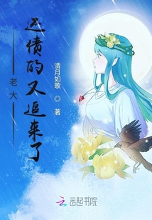 老大还债的又追来了封面