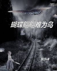 蝴蝶翩翩难为鸟封面