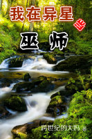 我在异星当巫师封面