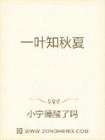 一叶知秋夏封面