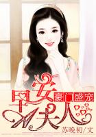 豪门盛宠：早安A夫人封面