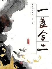 一盏合二封面