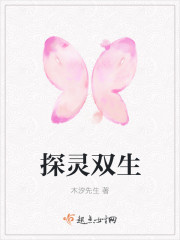 探灵双生封面