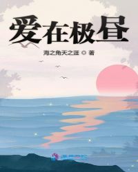 爱在极昼封面