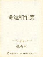 命运和维度封面