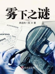 雾下之谜封面