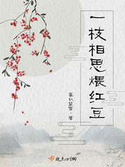 一枝相思煨红豆封面