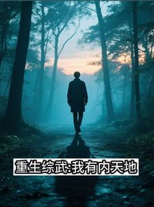 综武之内天地封面