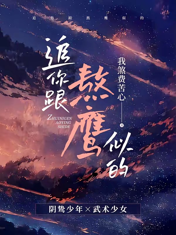 追你跟熬鹰似的封面