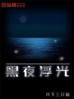 黑夜浮光封面
