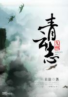 九州青云志封面