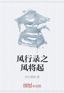 风行录之风将起封面