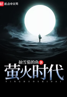萤火时代封面