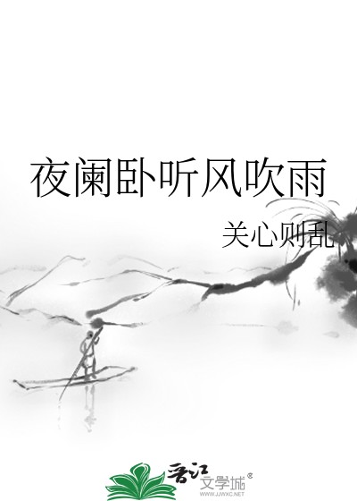 夜阑卧听风吹雨封面
