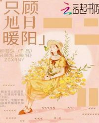 只顾旭日暖阳封面