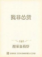 我非怂货封面