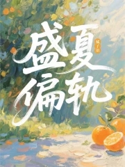 盛夏偏轨封面