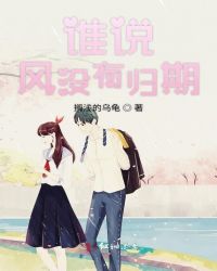谁说风没有归期封面
